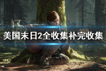 美国末日电脑版攻略游戏