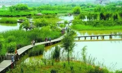 兰州湿地公园小游戏攻略
