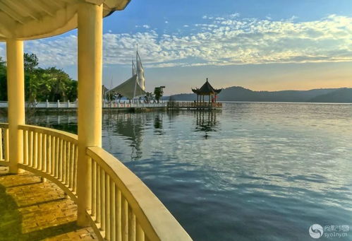 丹江大观苑游戏攻略视频