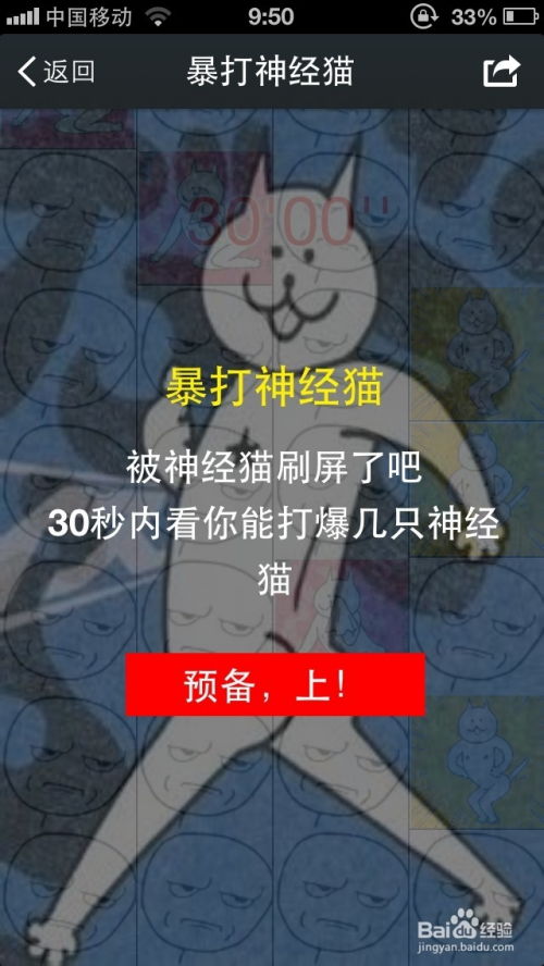 围住神经猫 小游戏攻略