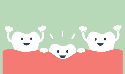 悬崖上开大巴 游戏攻略