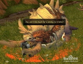 魔兽世界游戏里剥皮攻略