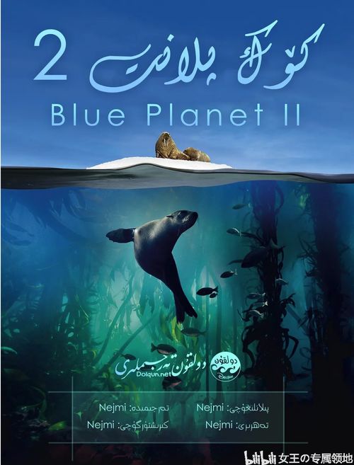 蓝色星球2小游戏攻略