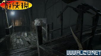 生化危机游戏小屋攻略