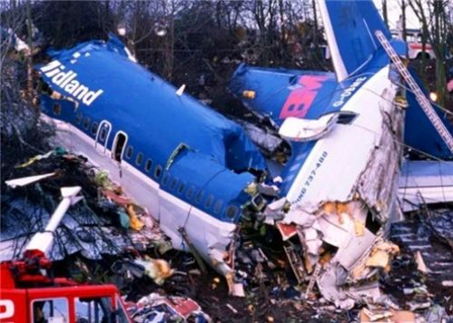 男孩树下睡觉 被坠毁客机砸中烧死