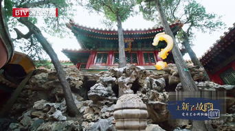 白狐神社小游戏竹子攻略