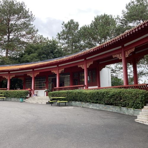 韶阳楼亲子游戏攻略