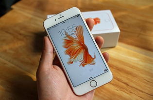 山东一大学禁用红米手机考试