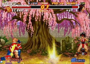 战斗的青春小游戏攻略