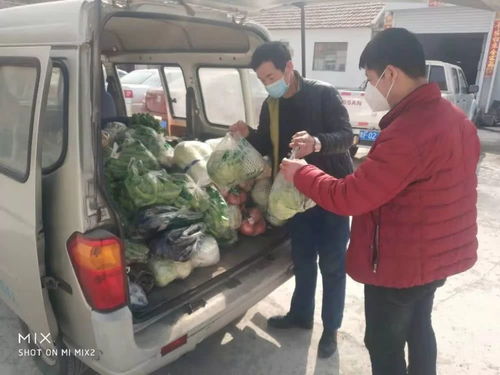 男子反映村干部家占道遭殴打