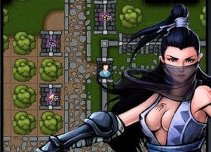 泰山攻略是什么游戏