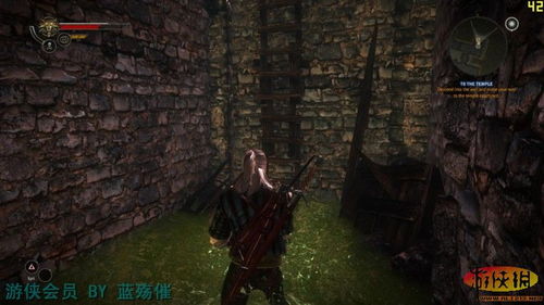 巫师2官方游戏攻略指南
