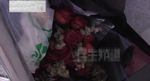 男子中1000万彩票被扔洗衣机 男子中1000万彩票被扔洗衣机