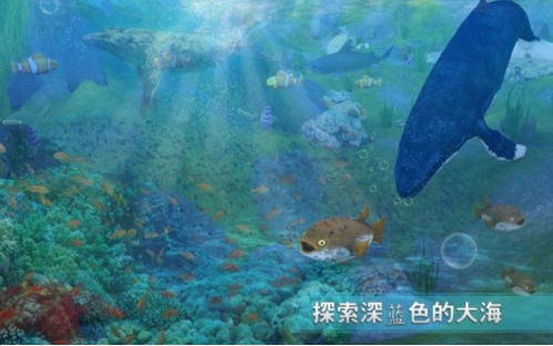 小鲸鱼奥斯丁小游戏攻略