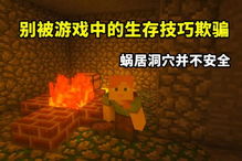 世上最真实的游戏攻略