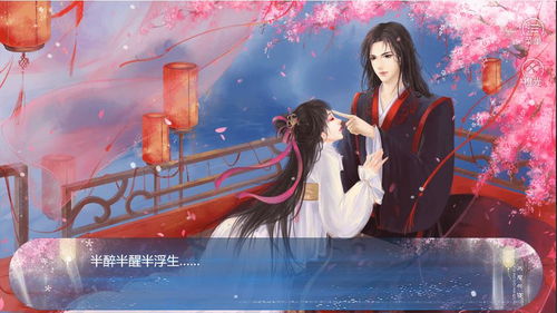 王妃记事橙光游戏攻略