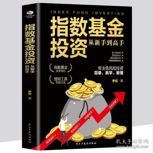 投资高手游戏攻略小说