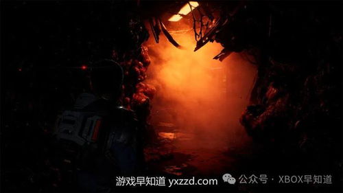 惊悚探险双人游戏攻略