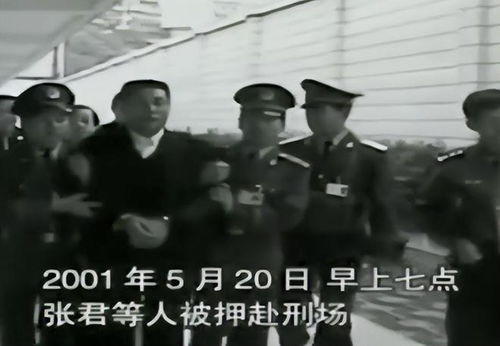 你醒啦 现在是2001年