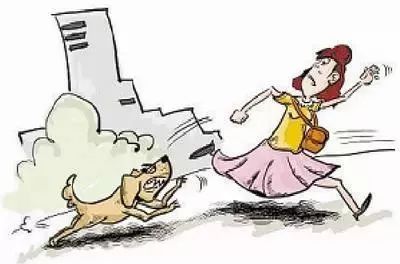 被狗咬伤后未就医 男子3个月后去世