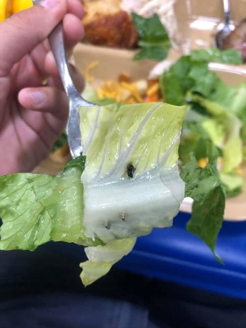 美军空袭伊朗前披萨订单再度暴增