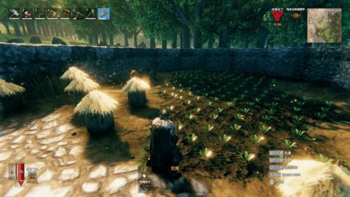 不普通的生存游戏攻略