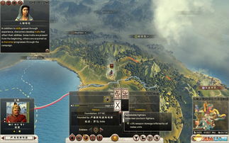 全面战争消除游戏攻略