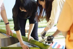 连裤袜老师自慰游戏攻略