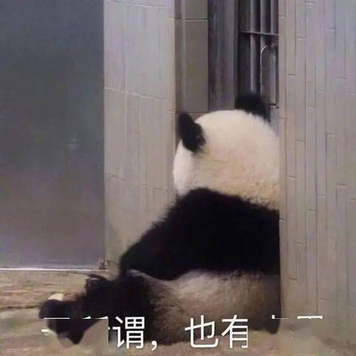 求你别敲门游戏试玩攻略 求你别敲门游戏试玩攻略