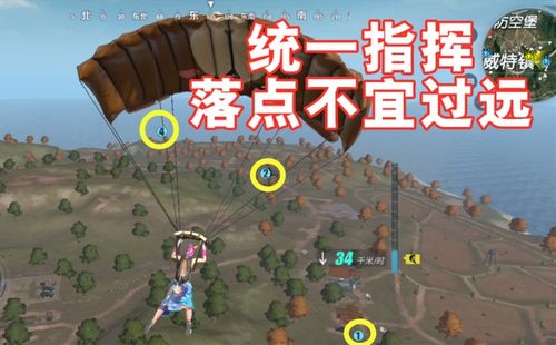 单人四排海岛攻略游戏