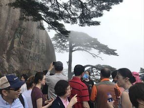 大峡谷露营游戏攻略