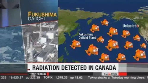 福岛核辐射游戏攻略