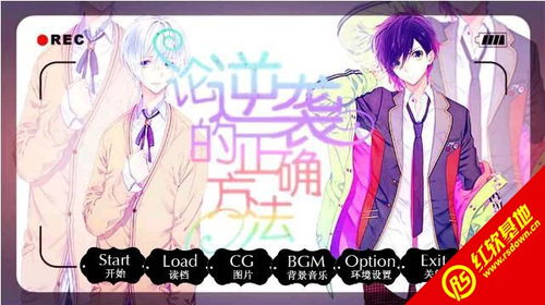 bl攻略游戏叫什么