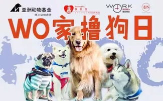 狮子家族建造游戏室攻略