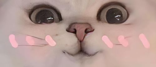 女子吃素半年吃成中重度脂肪肝