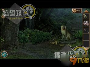 越狱逃离游戏攻略手机版