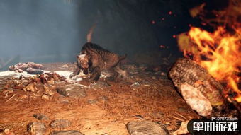 孤岛惊魂单机小游戏攻略