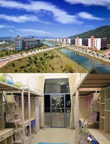 吉大学生因宿舍太热支帐篷过夜