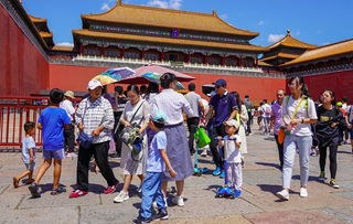 游客拍下了故宫攻略游戏 游客拍下了故宫攻略游戏