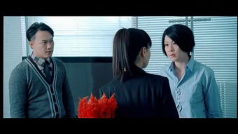 隐婚男女游戏视频攻略