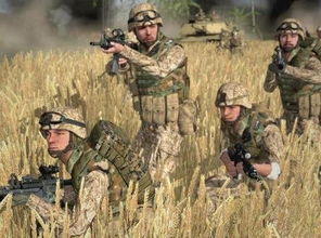 武装突袭3联机游戏攻略