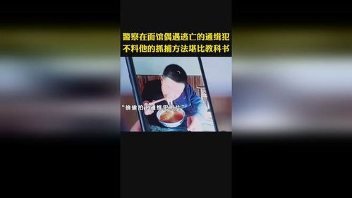 警察抓逃犯的游戏攻略