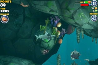 不挑食的鲨鱼游戏攻略