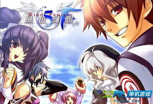 我的后宫幻想游戏攻略