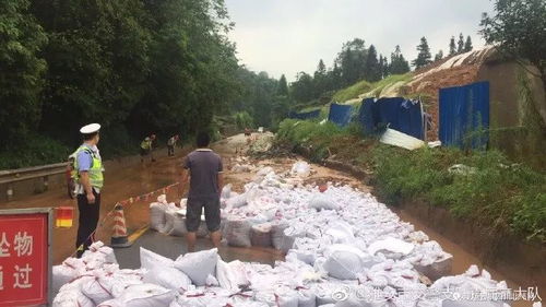 成都暴雨小区电梯变“水帘洞”