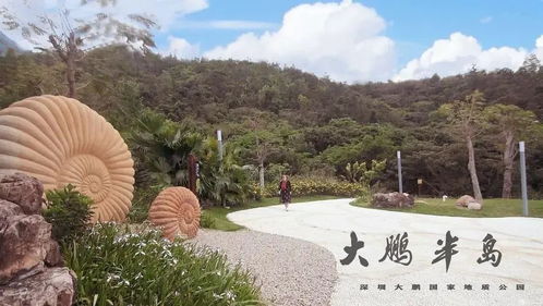 隐居海湾游戏去公园攻略 隐居海湾游戏去公园攻略