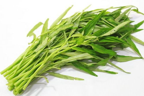 空心菜 最懂打工人的蔬菜