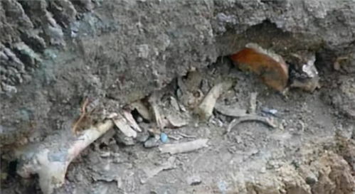 女子回应新房挖出尸骨：腿都吓软了