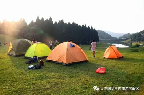 户外露营游戏攻略水果