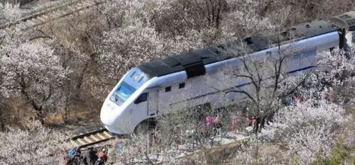 通往春天的列车攻略游戏